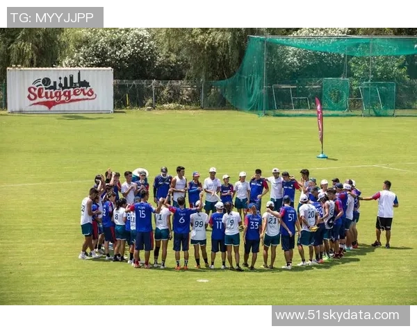 飞盘技术实力榜单权威发布揭示顶尖选手与团队实力对比分析